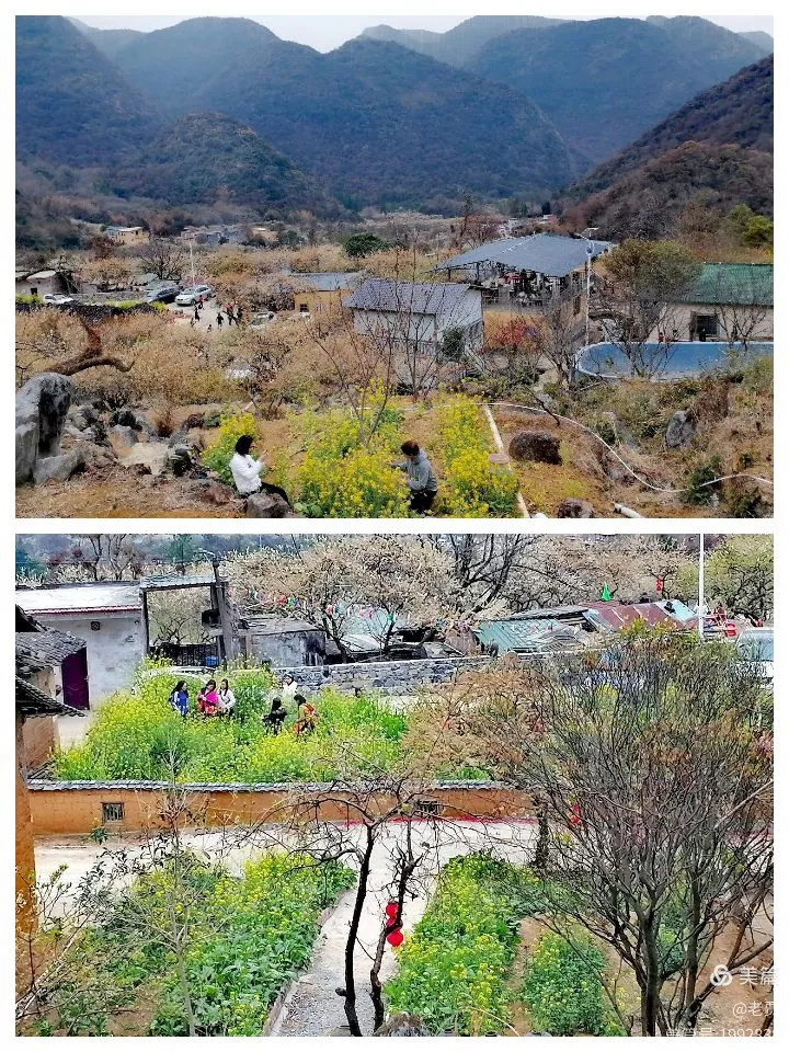 广东阳山杨梅镇水浪花谷李华基地